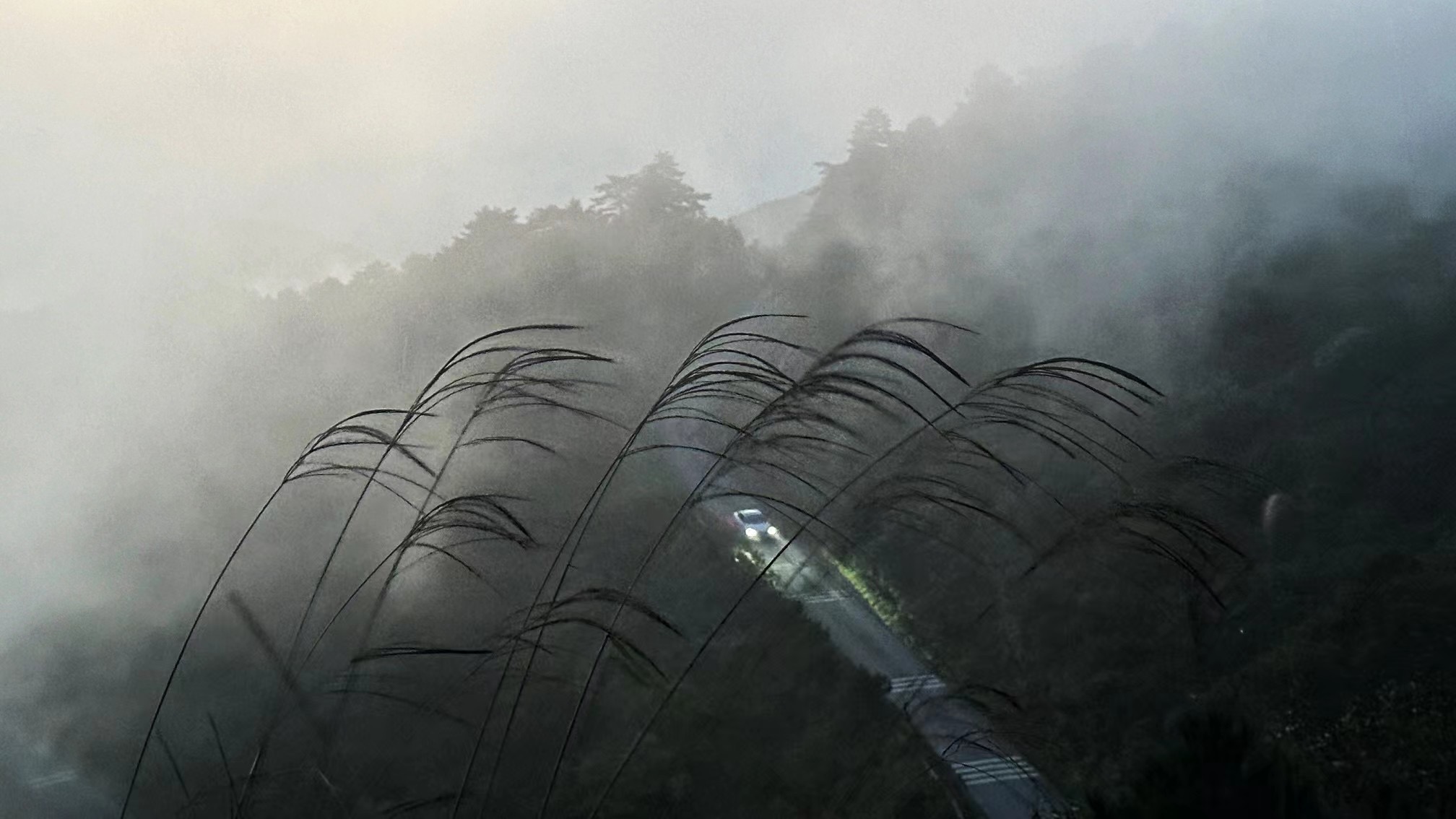 牵牛岗